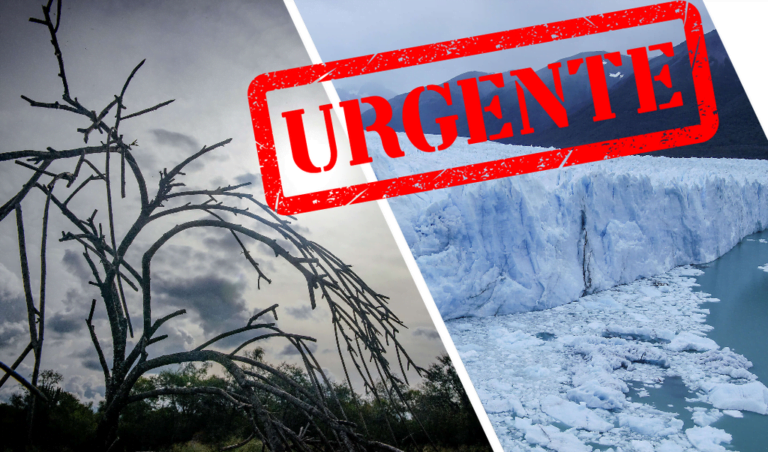 Bosques y Glaciares en peligro: sumá tu firma para salvar las leyes ambientales!
