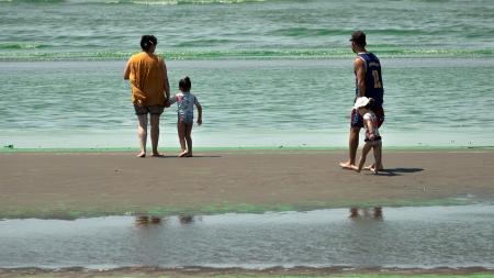 Emiten alertas por presencia de cianobacterias en balnearios del Río de la Plata