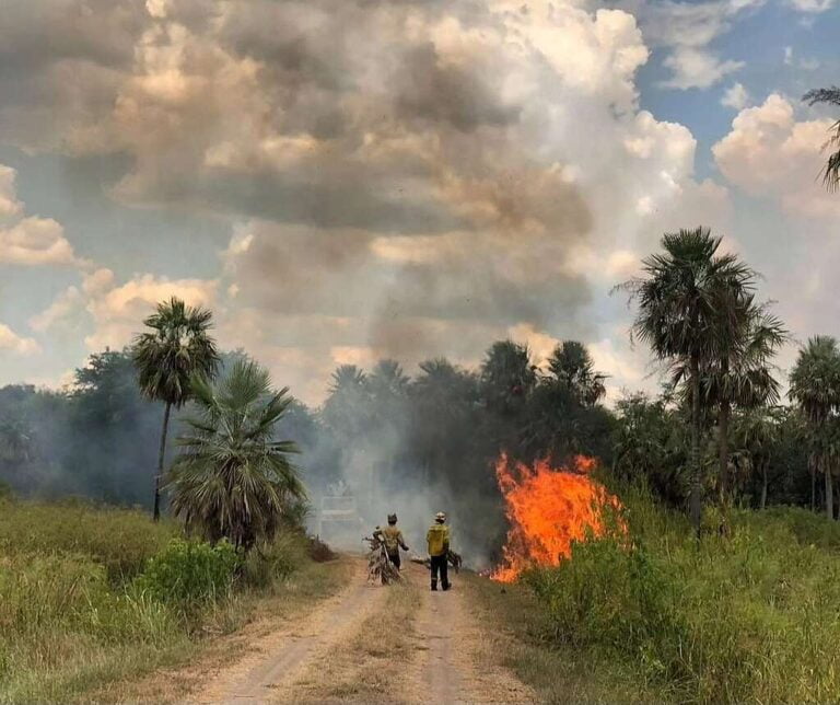 Incendios forestales: necesitamos más brigadistas e infraestructura